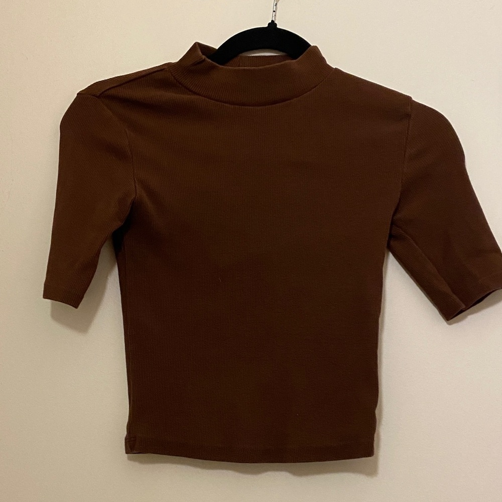 Zara Brown Mock Neck Short Sleeve Top